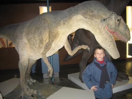dino